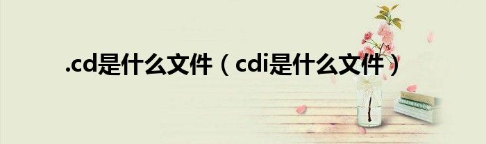 .cd是什么文件（cdi是什么文件）