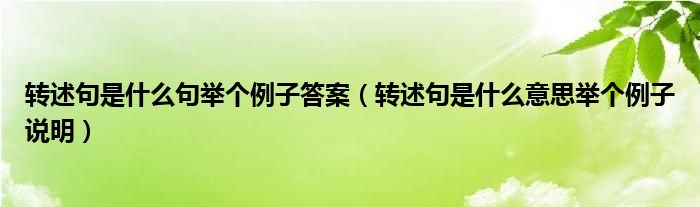 转述句是什么句举个例子答案（转述句是什么意思举个例子说明）