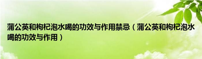 蒲公英和枸杞泡水喝的功效与作用禁忌（蒲公英和枸杞泡水喝的功效与作用）