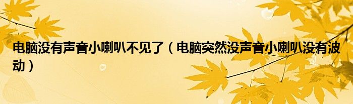 电脑没有声音小喇叭不见了（电脑突然没声音小喇叭没有波动）