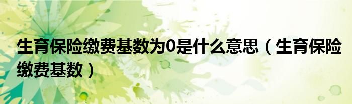 生育保险缴费基数为0是什么意思（生育保险缴费基数）