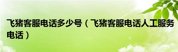 飞猪客服电话多少号（飞猪客服电话人工服务电话）