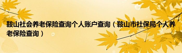 鞍山社会养老保险查询个人账户查询（鞍山市社保局个人养老保险查询）