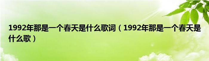 1992年那是一个春天是什么歌词（1992年那是一个春天是什么歌）