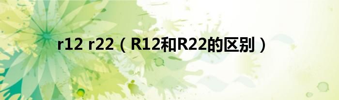 r12 r22（R12和R22的区别）