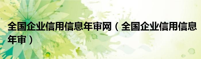 全国企业信用信息年审网（全国企业信用信息年审）