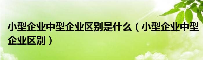 小型企业中型企业区别是什么（小型企业中型企业区别）