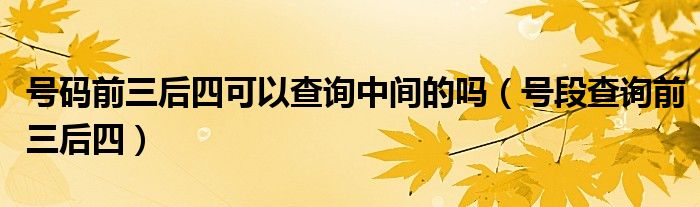 号码前三后四可以查询中间的吗（号段查询前三后四）