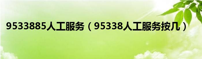 9533885人工服务（95338人工服务按几）