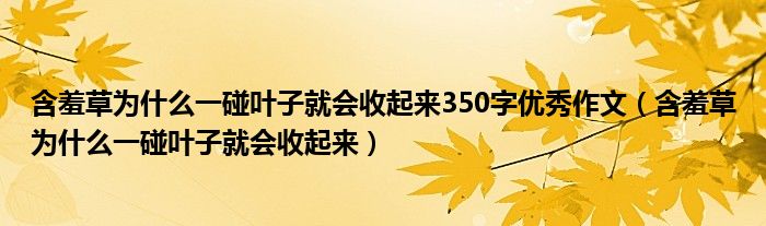 含羞草为什么一碰叶子就会收起来350字优秀作文（含羞草为什么一碰叶子就会收起来）