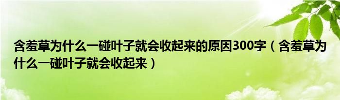 含羞草为什么一碰叶子就会收起来的原因300字（含羞草为什么一碰叶子就会收起来）