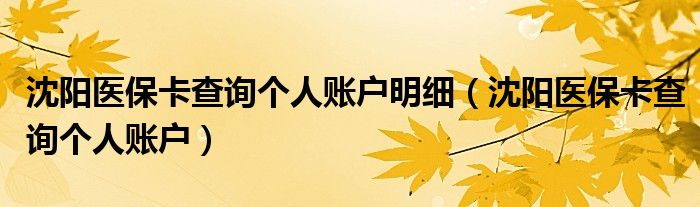 沈阳医保卡查询个人账户明细（沈阳医保卡查询个人账户）