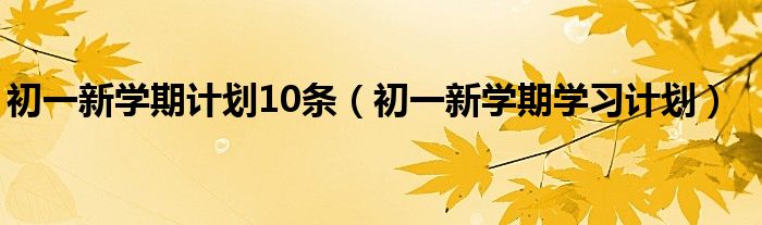 初一新学期计划10条（初一新学期学习计划）