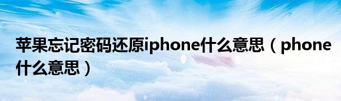 苹果忘记密码还原iphone什么意思（phone什么意思）