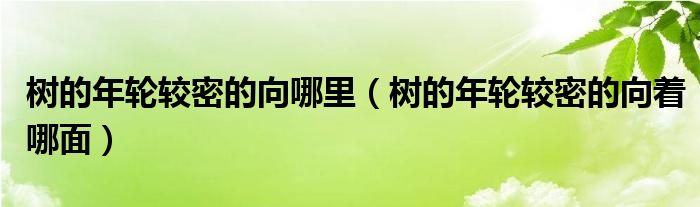 树的年轮较密的向哪里（树的年轮较密的向着哪面）