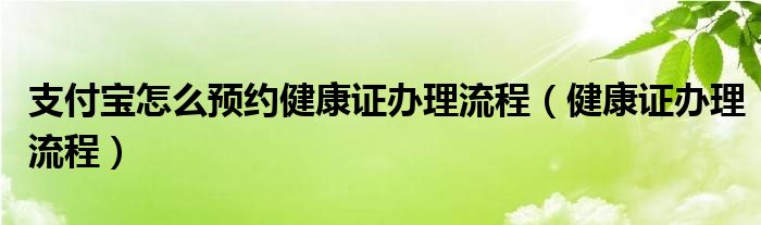 支付宝怎么预约健康证办理流程（健康证办理流程）