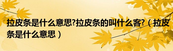 拉皮条是什么意思?拉皮条的叫什么客?（拉皮条是什么意思）