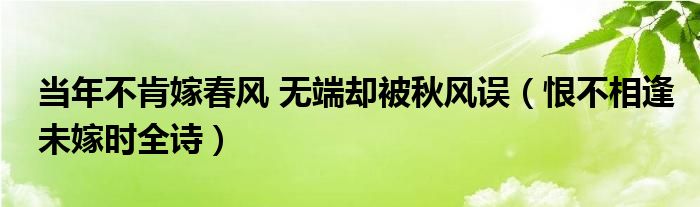 当年不肯嫁春风 无端却被秋风误（恨不相逢未嫁时全诗）