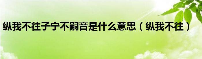 纵我不往子宁不嗣音是什么意思（纵我不往）