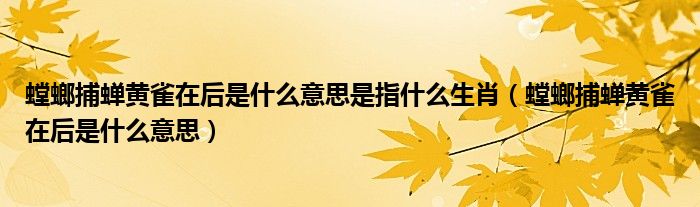 螳螂捕蝉黄雀在后是什么意思是指什么生肖（螳螂捕蝉黄雀在后是什么意思）