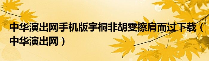 中华演出网手机版宇桐非胡雯擦肩而过下载（中华演出网）