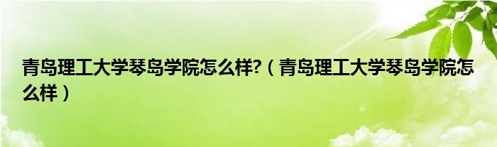 青岛理工大学琴岛学院怎么样?（青岛理工大学琴岛学院怎么样）