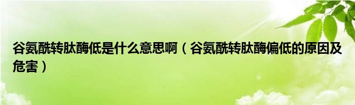 谷氨酰转肽酶低是什么意思啊（谷氨酰转肽酶偏低的原因及危害）