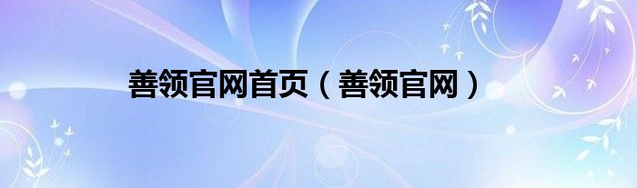 善领官网首页（善领官网）