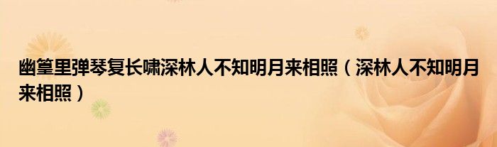 幽篁里弹琴复长啸深林人不知明月来相照（深林人不知明月来相照）