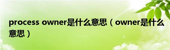 process owner是什么意思（owner是什么意思）