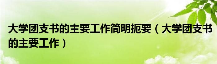 大学团支书的主要工作简明扼要（大学团支书的主要工作）