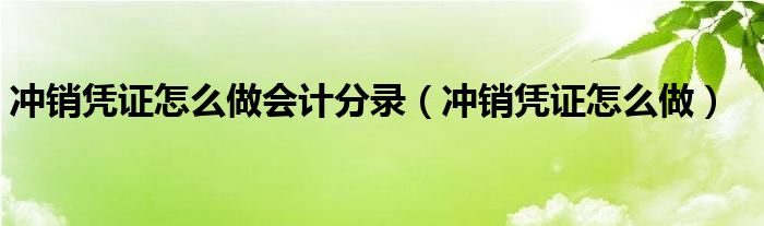 冲销凭证怎么做会计分录（冲销凭证怎么做）