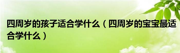 四周岁的孩子适合学什么（四周岁的宝宝最适合学什么）