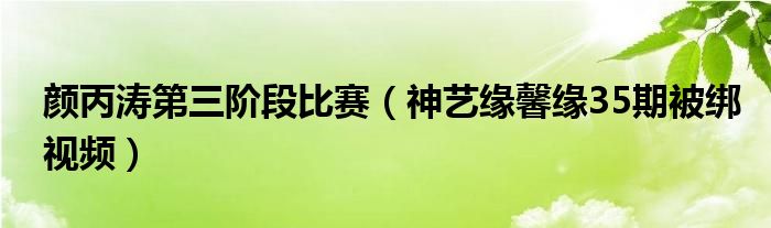 颜丙涛第三阶段比赛（神艺缘馨缘35期被绑视频）