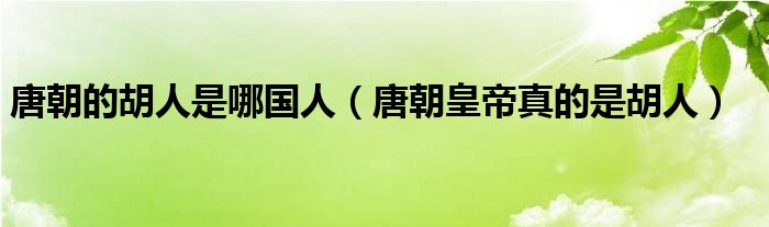 唐朝的胡人是哪国人（唐朝皇帝真的是胡人）