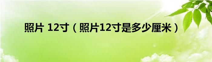 照片 12寸（照片12寸是多少厘米）