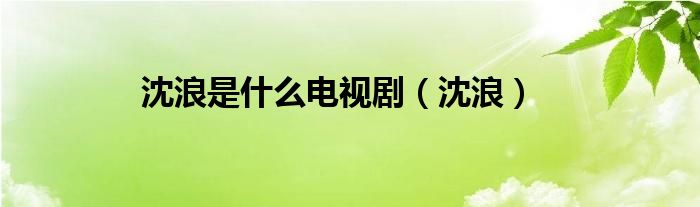 沈浪是什么电视剧（沈浪）