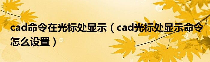 cad命令在光标处显示（cad光标处显示命令怎么设置）