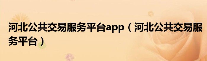 河北公共交易服务平台app（河北公共交易服务平台）