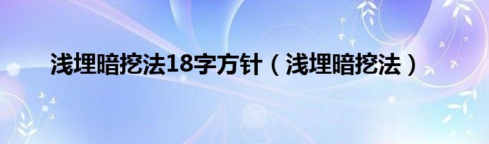 浅埋暗挖法18字方针（浅埋暗挖法）