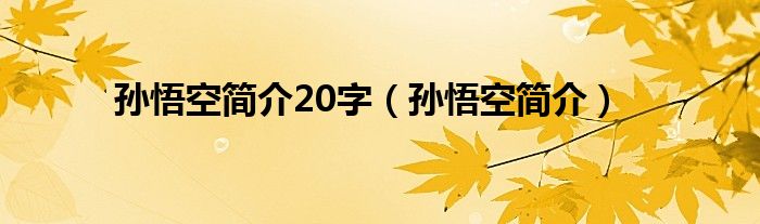 孙悟空简介20字（孙悟空简介）