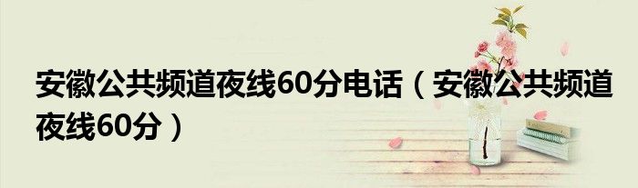 安徽公共频道夜线60分电话（安徽公共频道夜线60分）