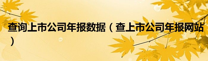 查询上市公司年报数据（查上市公司年报网站）