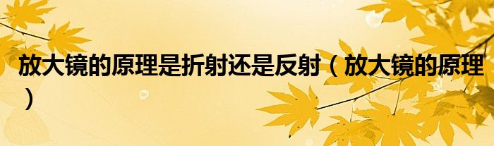 放大镜的原理是折射还是反射（放大镜的原理）