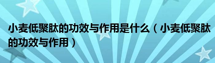 小麦低聚肽的功效与作用是什么（小麦低聚肽的功效与作用）