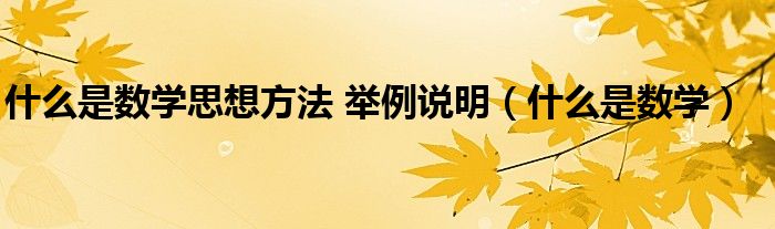 什么是数学思想方法 举例说明（什么是数学）