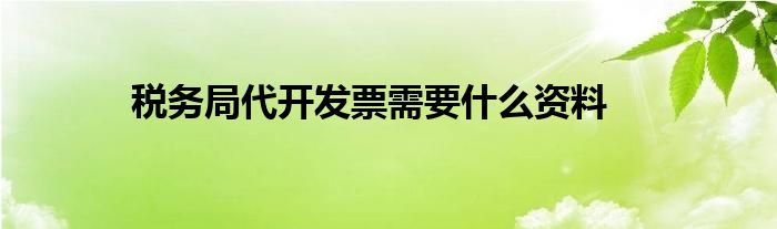 税务局代开发票需要什么资料