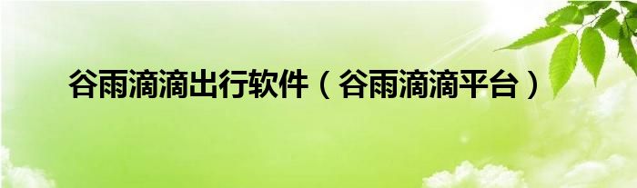 谷雨滴滴出行软件（谷雨滴滴平台）