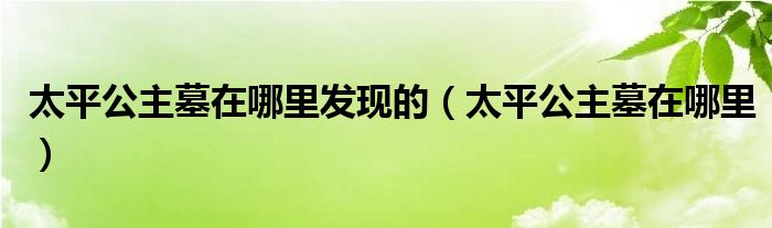 太平公主墓在哪里发现的（太平公主墓在哪里）