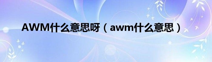 AWM什么意思呀（awm什么意思）